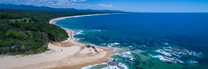 Picture of Bongil Bongil National Park, Mid North Coast, New South Wales, Australia