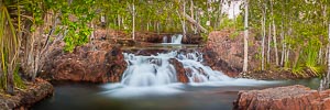 Picture of Litchfield National Park, Darwin and Surrounds, Northern Territory, Australia