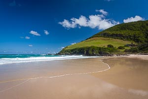 Picture of Pacific Palms, Barrington Coast, New South Wales, Australia