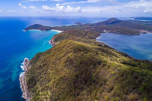 Picture of Pacific Palms, Barrington Coast, New South Wales, Australia
