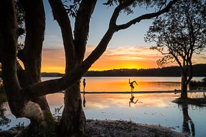 Picture of Sandbar, Barrington Coast, New South Wales, Australia