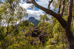 Picture of Morton National Park, Southern Highlands, New South Wales, Australia