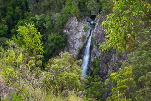 Picture of Gibraltar Ranges National Park, New England Tablelands, New South Wales, Australia
