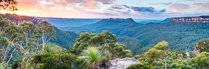 Picture of Mount Solitary, Blue Mountains National Park, New South Wales, Australia
