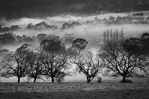 Picture of Kiewa Valley, The High Country, Victoria, Australia