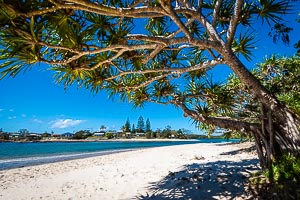 Picture of Yuraygir National Park, Mid North Coast, New South Wales, Australia