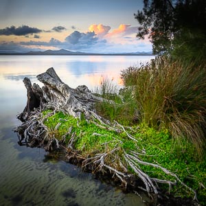 Picture of Myall Lakes National Park, Barrington Coast, New South Wales, Australia