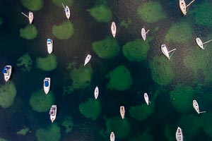 Picture of Lake MacQuarie, Central Coast, New South Wales, Australia