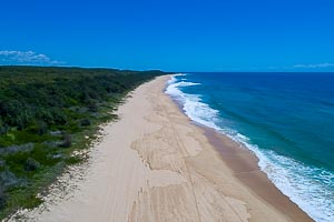 Picture of Bongil Bongil National Park, Mid North Coast, New South Wales, Australia