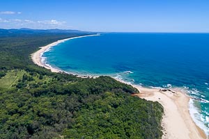 Picture of Bongil Bongil National Park, Mid North Coast, New South Wales, Australia