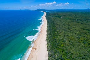 Picture of Bongil Bongil National Park, Mid North Coast, New South Wales, Australia