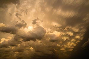 Picture of Avoca Beach, Central Coast, New South Wales, Australia