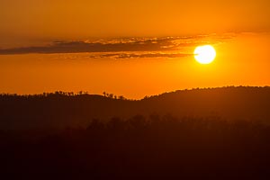 Picture of Gibraltar Ranges National Park, New England Tablelands, New South Wales, Australia
