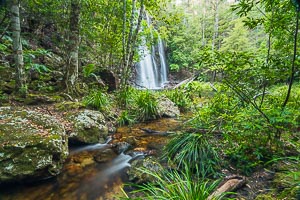 Picture of Gibraltar Ranges National Park, New England Tablelands, New South Wales, Australia