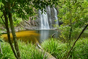 Picture of Gibraltar Ranges National Park, New England Tablelands, New South Wales, Australia