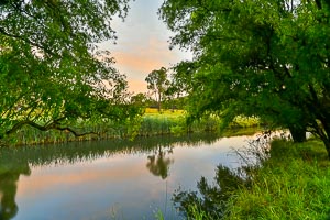 Picture of Glenn Innes, New England Tablelands, New South Wales, Australia