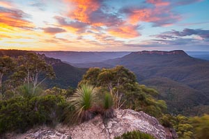 Picture of Mount Solitary, Blue Mountains National Park, New South Wales, Australia