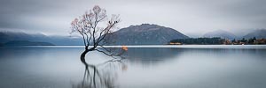 Picture of Lake Wanaka, Otago, South Island, New Zealand