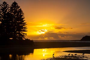 Picture of Terrigal, Central Coast, New South Wales, Australia