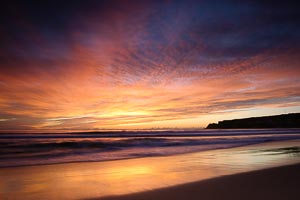 Picture of Manly, Northern Beaches, New South Wales, Australia