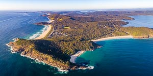 Picture of Pacific Palms, Barrington Coast, New South Wales, Australia
