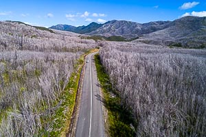 Picture of Franklin Gordon Wild Rivers National Park, West Coast and Wilderness, Tasmania, Australia