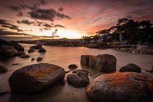 Picture of Binalong Bay, East Coast, Tasmania, Australia