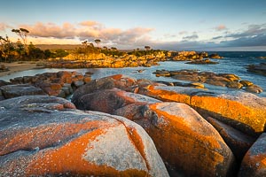 Picture of Binalong Bay, East Coast, Tasmania, Australia