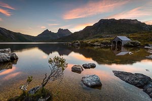 Picture of Cradle Mountain National Park, Davenport and Cradle Mountain, Tasmania, Australia