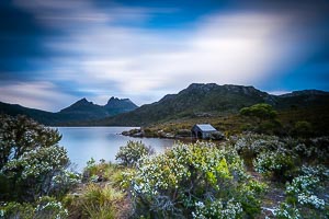 Picture of Cradle Mountain National Park, Davenport and Cradle Mountain, Tasmania, Australia