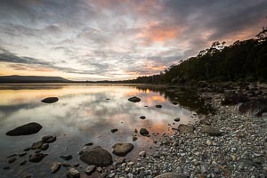 Picture of Cradle Mountain National Park, Davenport and Cradle Mountain, Tasmania, Australia