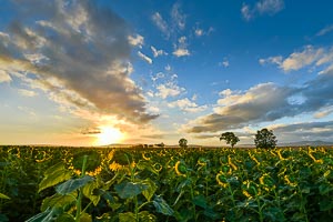 Picture of Quirindi, The Hunter, New South Wales, Australia