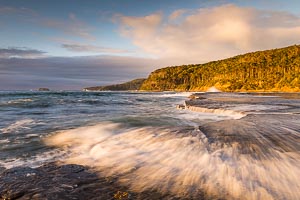 Picture of Murramarang National Park, South East, New South Wales, Australia