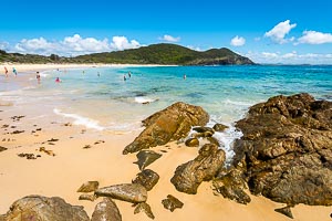 Picture of Pacific Palms, Barrington Coast, New South Wales, Australia
