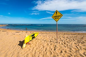 Picture of Toowoon Bay, Central Coast, New South Wales, Australia