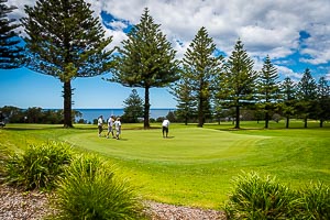 Picture of Shelly Beach, Central Coast, New South Wales, Australia