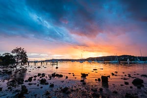 Picture of Point Frederick, Central Coast, New South Wales, Australia