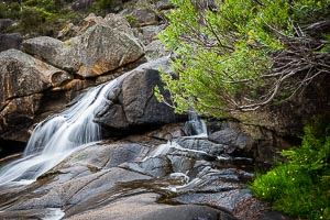 Picture of Wadbilliga National Park, South East, New South Wales, Australia