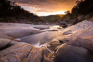 Picture of Wadbilliga National Park, South East, New South Wales, Australia