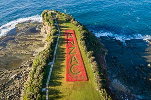 Picture of Terrigal, Central Coast, New South Wales, Australia