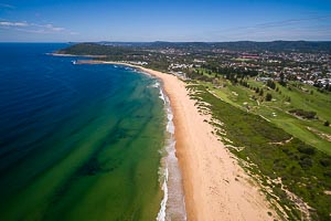 Picture of Shelly Beach, Central Coast, New South Wales, Australia