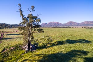 Picture of Flinders Ranges National Park, Flinders and Mid North, South Australia, Australia