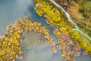 Picture of Glenorchy, Otago, South Island, New Zealand