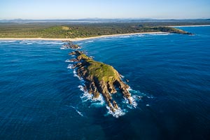 Picture of Delicate Nobbies, Mid North Coast, New South Wales, Australia