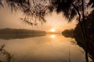 Picture of Avoca Beach, Central Coast, New South Wales, Australia