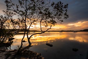Picture of Bensville, Central Coast, New South Wales, Australia