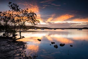 Picture of Bensville, Central Coast, New South Wales, Australia