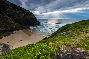 Picture of Limeburners Creek National Park, Mid North Coast, New South Wales, Australia