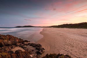 Picture of Delicate Nobbies, Mid North Coast, New South Wales, Australia
