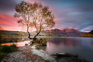 Picture of Arrowtown, Otago, South Island, New Zealand